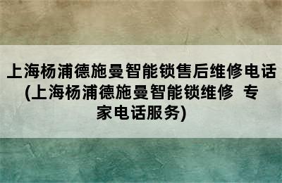 上海杨浦德施曼智能锁售后维修电话(上海杨浦德施曼智能锁维修  专家电话服务)